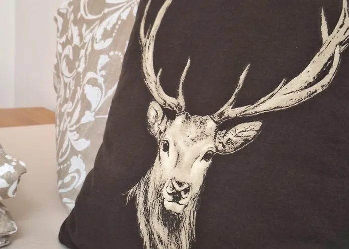 Bergliebe-schneiderbauer Muhr